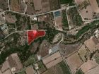 Land For Sale Paphos Kissonerga Land Cyprus Property Land Land - Land