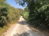 Land For Sale Paphos Kissonerga Land Cyprus Property Land Land - Land
